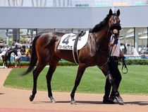 ����å��ǳ��������ɽ�����ޤ�