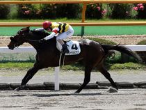 ����å��ǳ��������ɽ�����ޤ�