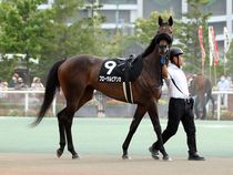 ����å��ǳ��������ɽ�����ޤ�