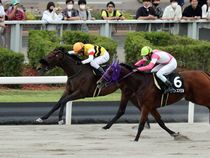 ����å��ǳ��������ɽ�����ޤ�