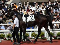 ����å��ǳ��������ɽ�����ޤ�