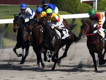 ����å��ǳ��������ɽ�����ޤ�