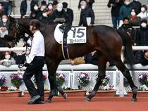 ����å��ǳ��������ɽ�����ޤ�