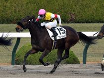 ����å��ǳ��������ɽ�����ޤ�