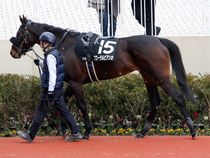 ����å��ǳ��������ɽ�����ޤ�