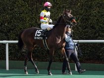 ����å��ǳ��������ɽ�����ޤ�