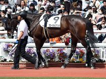 ����å��ǳ��������ɽ�����ޤ�