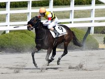 ����å��ǳ��������ɽ�����ޤ�