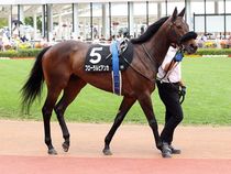 ����å��ǳ��������ɽ�����ޤ�