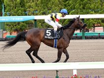 ����å��ǳ��������ɽ�����ޤ�