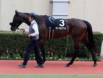 ����å��ǳ��������ɽ�����ޤ�