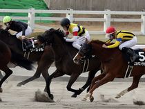 ����å��ǳ��������ɽ�����ޤ�