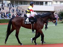 ����å��ǳ��������ɽ�����ޤ�