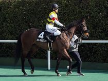 ����å��ǳ��������ɽ�����ޤ�