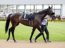 ����å��ǳ��������ɽ�����ޤ�