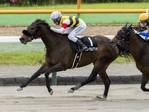 ����å��ǳ��������ɽ�����ޤ�