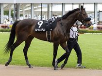 ����å��ǳ��������ɽ�����ޤ�