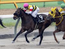 ����å��ǳ��������ɽ�����ޤ�