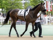 ����å��ǳ��������ɽ�����ޤ�