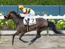 ����å��ǳ��������ɽ�����ޤ�