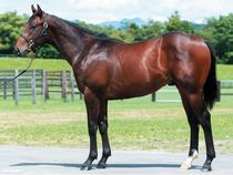 ����å��ǳ��������ɽ�����ޤ�