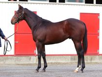 ����å��ǳ��������ɽ�����ޤ�