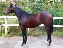 ����å��ǳ��������ɽ�����ޤ�