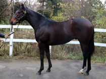 ����å��ǳ��������ɽ�����ޤ�