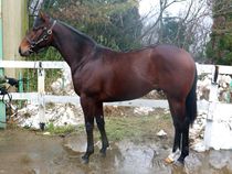 ����å��ǳ��������ɽ�����ޤ�