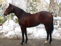 ����å��ǳ��������ɽ�����ޤ�