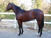 ����å��ǳ��������ɽ�����ޤ�