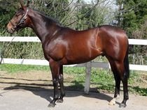 ����å��ǳ��������ɽ�����ޤ�