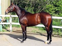 ����å��ǳ��������ɽ�����ޤ�