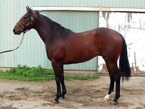 ����å��ǳ��������ɽ�����ޤ�