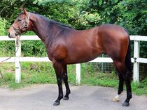 ����å��ǳ��������ɽ�����ޤ�