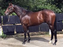 ����å��ǳ��������ɽ�����ޤ�