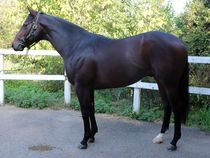 ����å��ǳ��������ɽ�����ޤ�