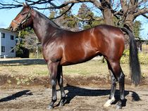 ����å��ǳ��������ɽ�����ޤ�