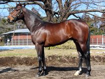 ����å��ǳ��������ɽ�����ޤ�