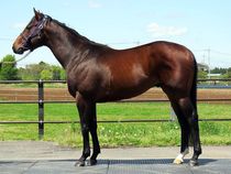 ����å��ǳ��������ɽ�����ޤ�