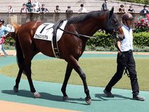 ����å��ǳ��������ɽ�����ޤ�