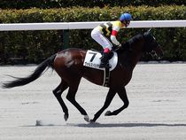 ����å��ǳ��������ɽ�����ޤ�