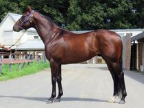 ����å��ǳ��������ɽ�����ޤ�