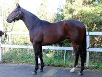 ����å��ǳ��������ɽ�����ޤ�