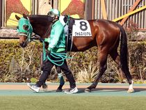 ����å��ǳ��������ɽ�����ޤ�