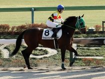 ����å��ǳ��������ɽ�����ޤ�