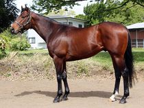 ����å��ǳ��������ɽ�����ޤ�