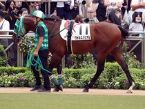 ����å��ǳ��������ɽ�����ޤ�