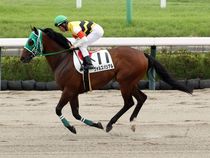 ����å��ǳ��������ɽ�����ޤ�