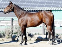 ����å��ǳ��������ɽ�����ޤ�